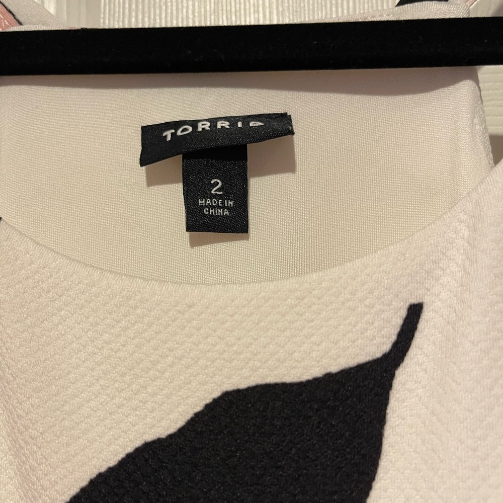 Torrid Dress - Picture 4 of 6